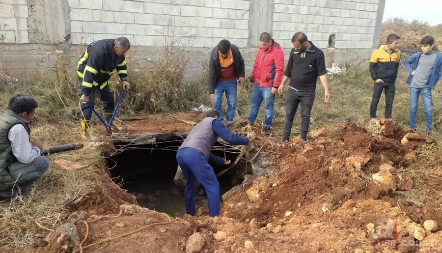 Yer altından gelen garip sesler ekipleri harekete geçirdi! Kanalizasyondan çıkan şoke etti 11