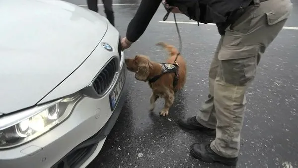 İstanbul’da dev denetim: Özel Harekat Polisleri de katıldı! Didik didik arandı