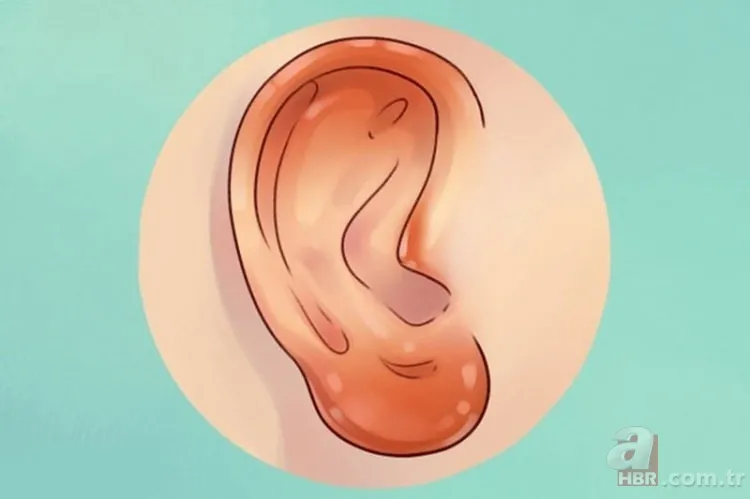 Kulak memesindeki çapraz çizgi ne işe yarar? 13