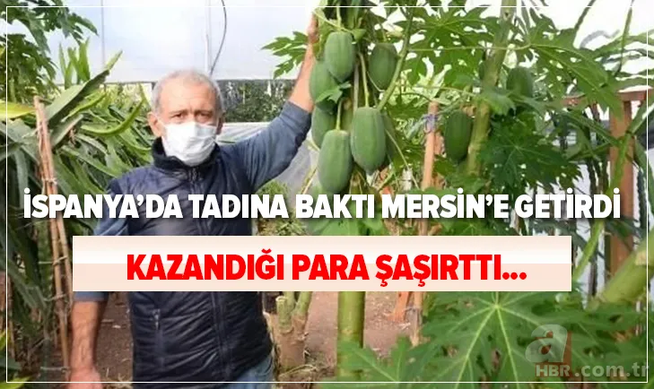 İspanya'da tadına baktı Mersin'e getirdi! Bir sezonda kazandığı para şaşırttı! Paraya para demiyor... 1