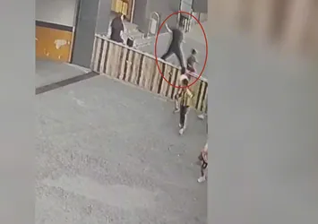 Tuzla'da dehşete düşüren olay! Çocuğu kaldırıp yere fırlattı