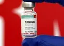 Yerli aşı Turkovac’tan müjdeli haber!
