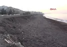Akçakoca sahilinde kum kıyıya 3 metre çekildi