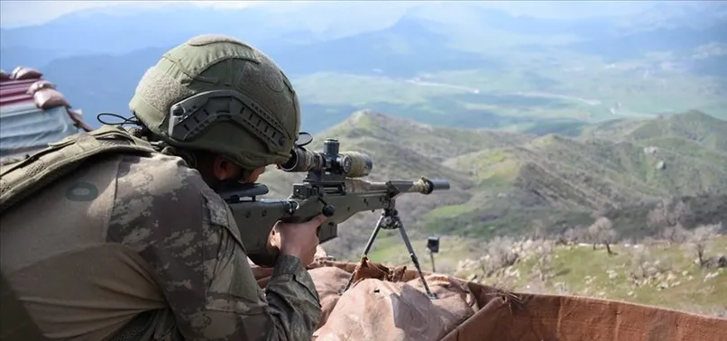 Mardin ve Diyarbakır'da kış için yer arayan 6 terörist öldürüldü