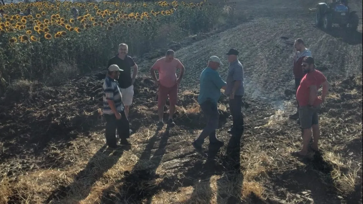 Kırklareli'nde anız yangınları! 80 dekar alan zarar gördü
