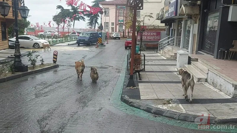 Marmara'da 5,1 büyüklüğünde deprem! Bursa'dan ilk görüntüler geldi 25