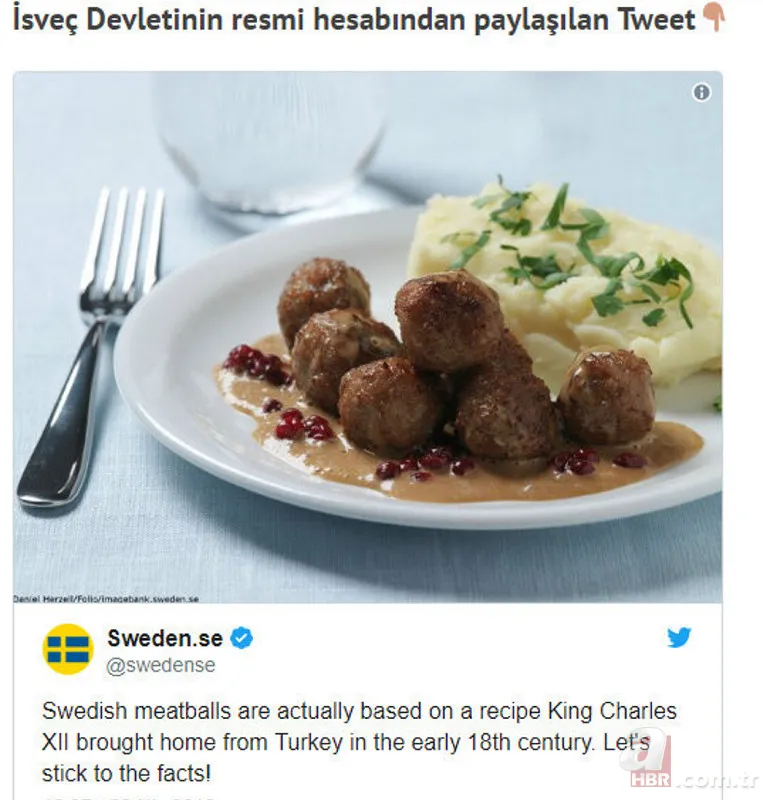 Mis gibi kokusuyla gönlünüzü fethedecek Osmanlı köftesi! Bayılarak yediğimiz İsveç tarifi de meğer bizim 6