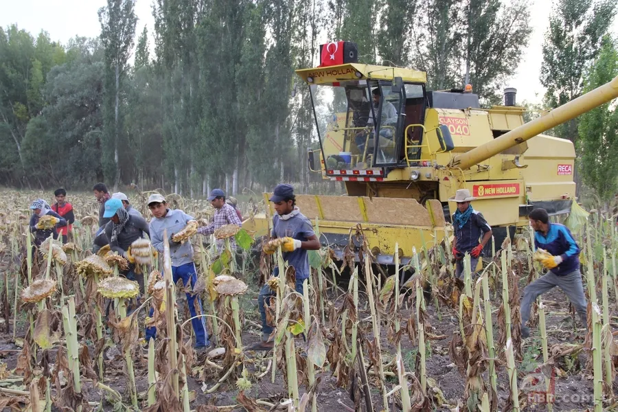 'Soğukta yapamazsın' dediler, şimdi paraya para demiyor 3