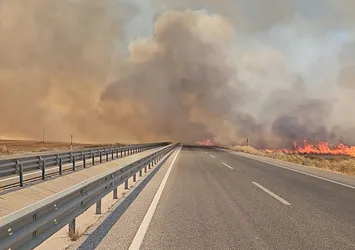 Edirne'de anız yangını! Görüş mesafesinin düştüğü otoyolda zincirleme kaza
