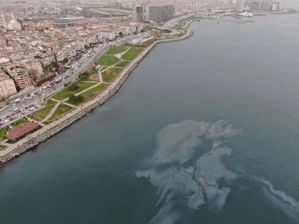Marmara Denizi’nde canlıların yaşamını etkileyen atıklar gün yüzüne çıktı