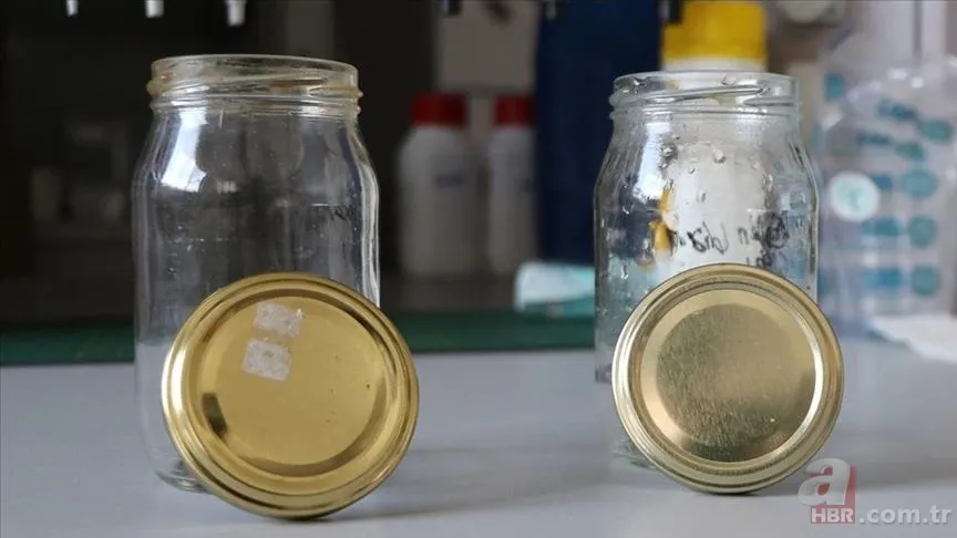 Sakın mutfağınızda tutmayın! Uzmanlar uyardı: Boş kavanoz saklayanları bekleyen tehlike... 3