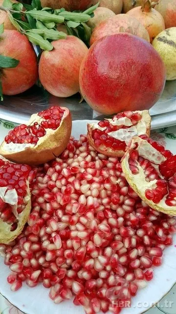 Kış hastalıklarından koruyan besinler 14