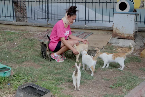 1687162659129.jpg Adana'da pitbull kavgası: Kadının burnunu kırdı - 4