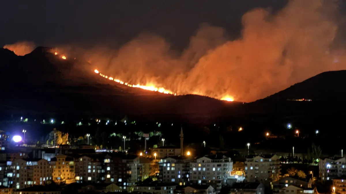 Ankara'da ağaçlık alana yangın!