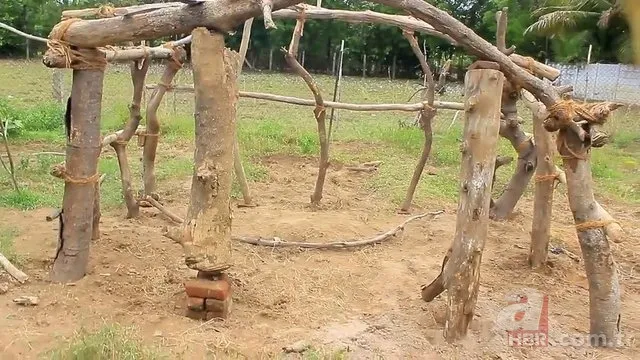 Öyle bir şey yaptı ki! Herkes hayran kaldı... 22