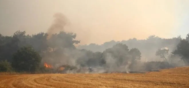 Çanakkale’de orman yangını! Havadan ve karadan müdahale sürüyor: Köy halkı tahliye edildi