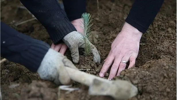 1613 personel alımı yapacak! Tarım ve Orman Bakanlığı personel alımı başvuruları başladı mı, ne zaman yapılacak? - 4