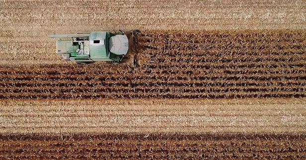 Mazot ve gübre desteği ödemeleri yattı mı, zamlandı mı 2023? Ziraat Bankası Ocak ayı mazot ve gübre desteği ne zaman yatar? 0, 2,4,6 ile bitenler...
