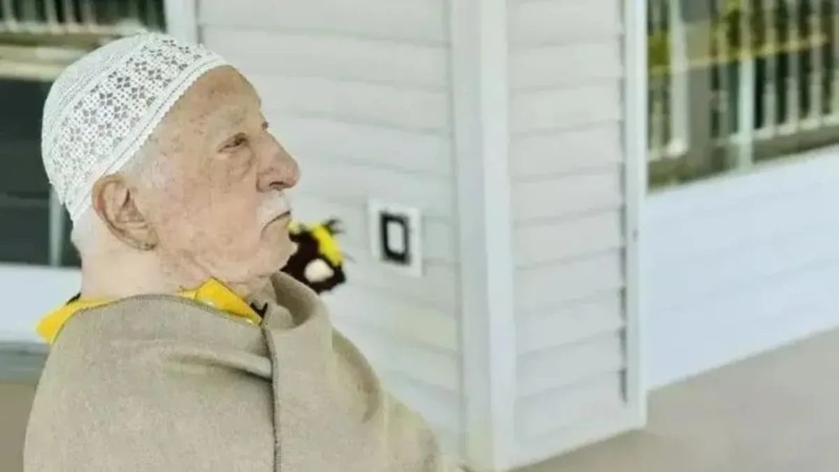 FETÖ ve suç örgütlerinin yeni merkezi Gürcistan! Büyük tehlike...