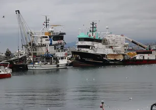Tekirdağ'da deniz ulaşımına lodos engeli
