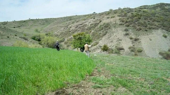 Altindan Daha Fazla Kar Birakiyor Fiyati Yuzde 400 Artti