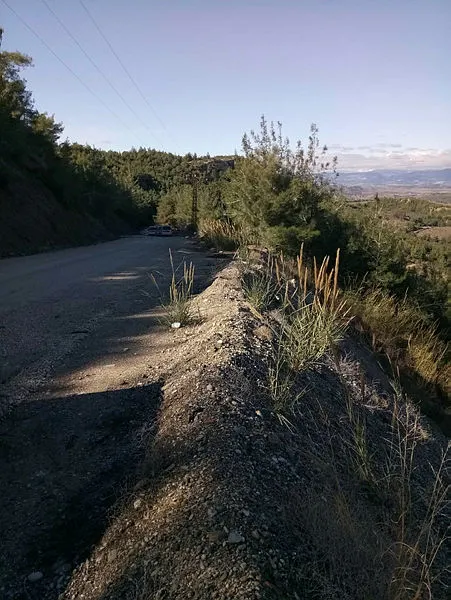 Adana’da yasak aşk yaşayan kızını korumak için damadını öldürdü! Gözaltına alınırken fenalaşıp öldü - 2