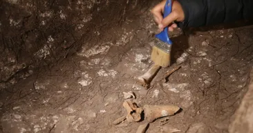 Mardin’de heyecanlandıran keşif! Anadolu parsı kemiklerinde bulundu: 1500 yıllık kesik izleri!
