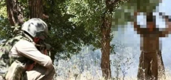 PKK’lı 3 terörist sınır kapısında teslim oldu