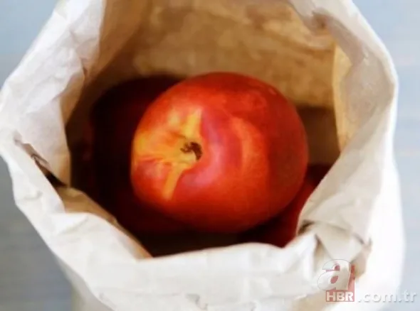 Pratik çözümlerde çığır açtılar 23