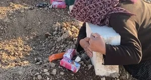 Gül nine yürekleri dağladı!