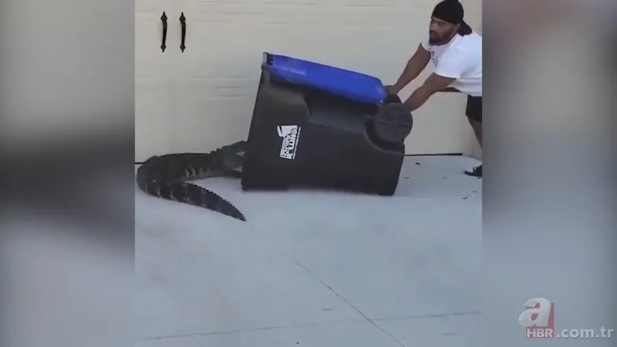 Sürücülerin kabusu oldu! Geceleri ortaya çıkıp yola fırlıyor 9