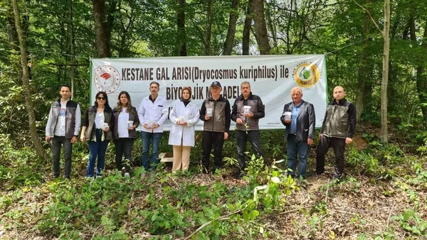 1684498168315.jpg Zonguldak’ta “katil arı” alarmı! Ekipler biyolojik mücadele başlattı - 6