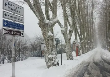 Dizi ekibi Belgrad Ormanı'nda mahsur kaldı