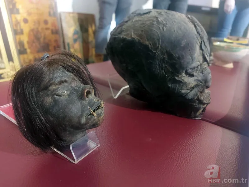 İzmir’de ele geçirilen 'Tsantsa'lar ile ilgili karar verildi! İade edilecekler 6