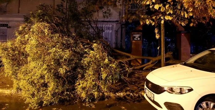 Şiddetli rüzgâr Kartal, Bakırköy ve Fatih'te ağaçları devirdi - 2