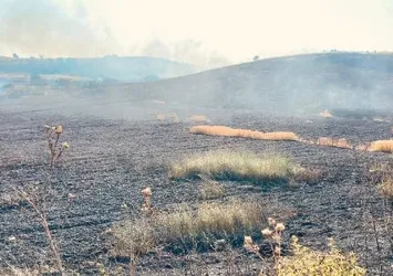 Bursa'da hasadı yapılan buğday tarlasında korkutan yangın! 1 saatlik müdahalenin ardından söndürüldü