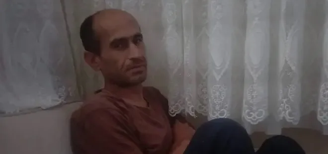 Fatih'teki başıboş köpek dehşetinde yeni gelişme! Adli rapor ortaya çıktı: Ayhan Özçelik vahşetinde yürek yakan bulgular...