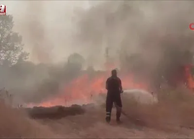 Anız yangını ağaçlık alana sıçradı