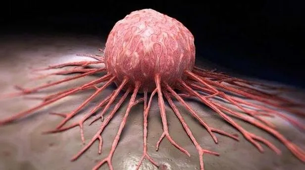 SGK 18 maddeyi sıraladı! Emekli olmak için sadece 1’inin olması yeterli! 8 Eylül 1999 sonrasına...