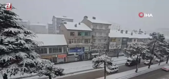 Bitlis Tatvan’da kar yağışı