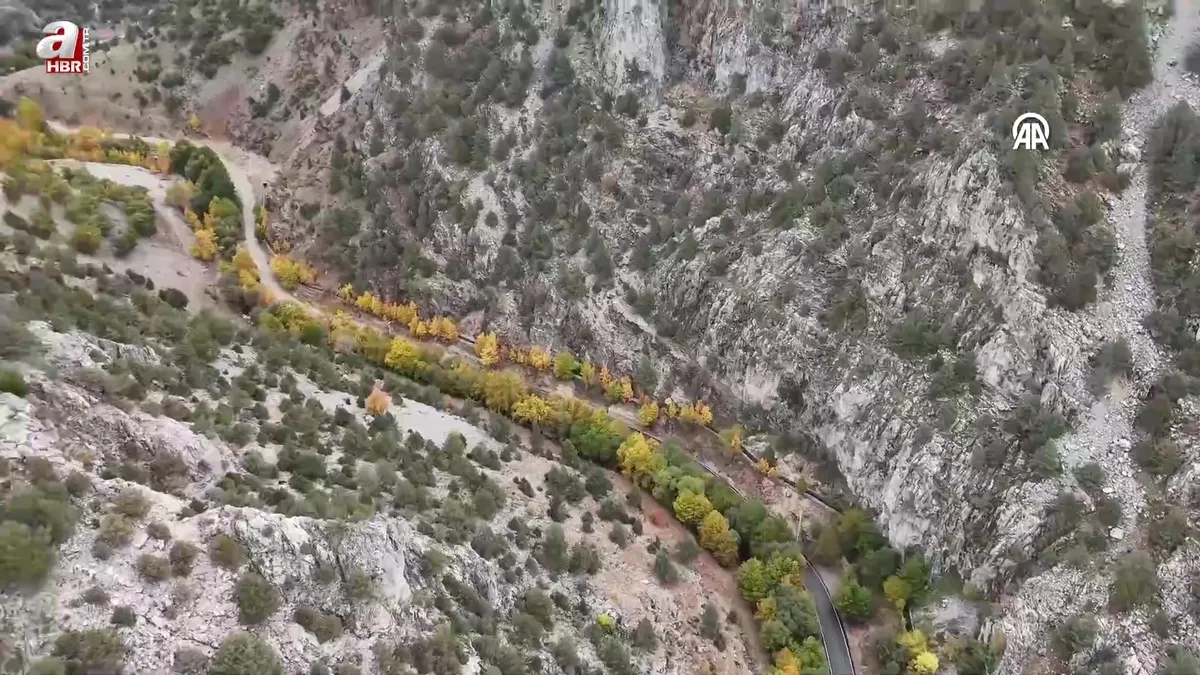 Sonbaharın renkleri havadan görüntülendi
