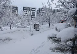 Bitlis'te kar yağışı