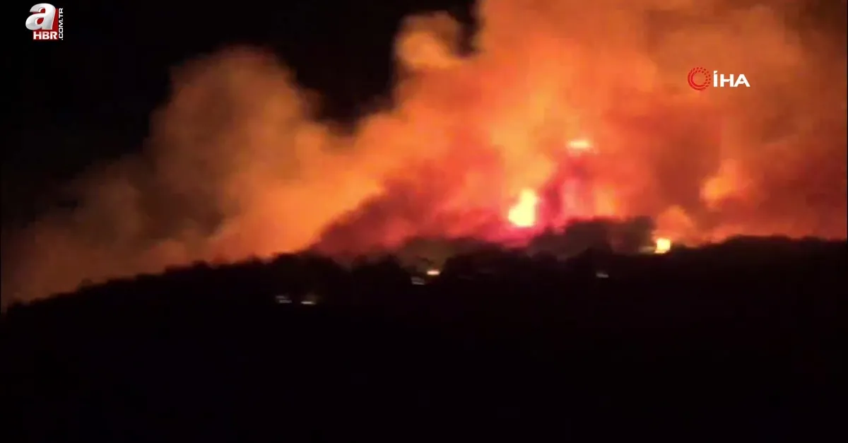 Çanakkale'de orman yangını
