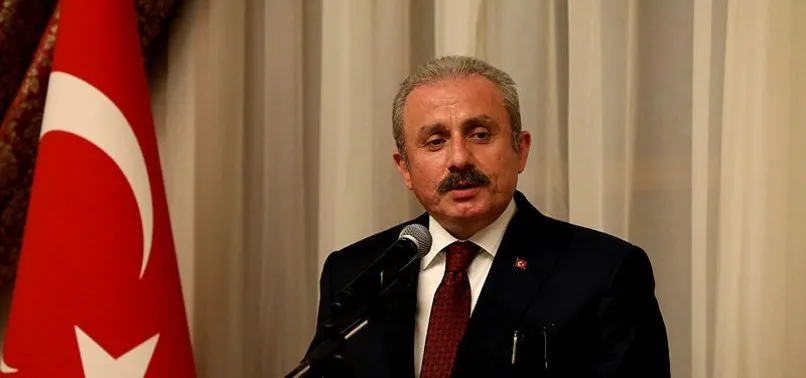 TBMM Başkanı Mustafa Şentop Türkiye'nin pandemi sonrasında söz sahibi ülkelerden olacağını söyledi