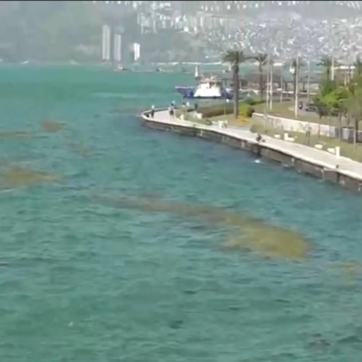 CHP belediyeciliği yine sınıfta kaldı! İzmir Körfezi can çekişiyor