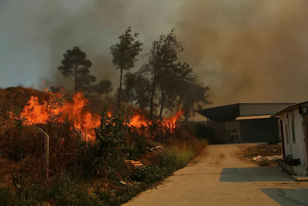 Tarım ve Orman Bakanı Bekir Pakdemirli’den Antalya Manavgat’ta çıkan yangına ilişkin son dakika açıklamaları