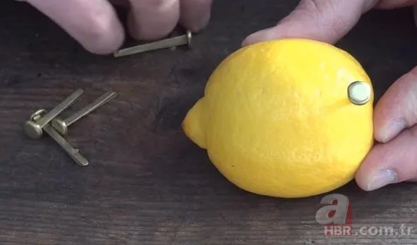 Sosyal medyayı sallayan köpek balığı deneyi yürekleri ağızlara getirdi! Okyanusa kan döküp bekledi ve... 16