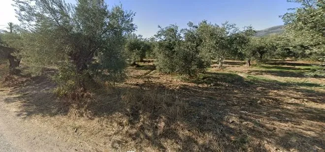 CHP’li belediyeden parsel parsel çevre katliamı! Kaz Dağları talanına bir yenisi daha