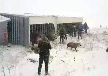 Sivas'ta feci olay! Gören oraya koştu...