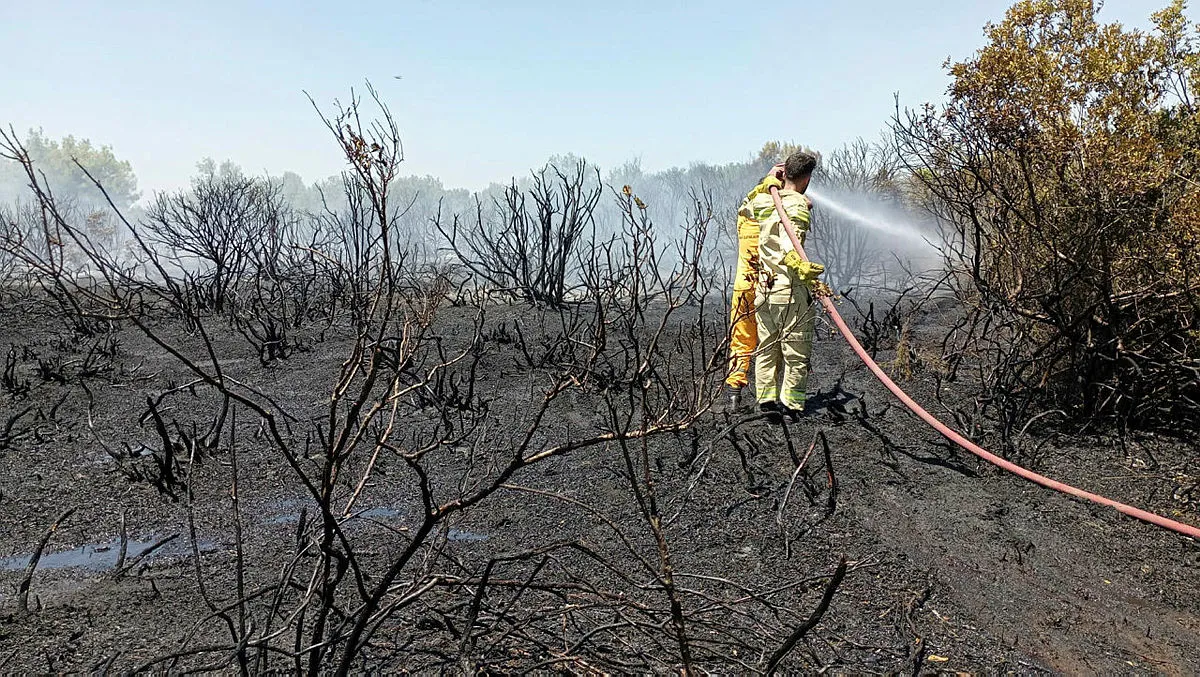 Antalya'daki orman yangını kontrol altında